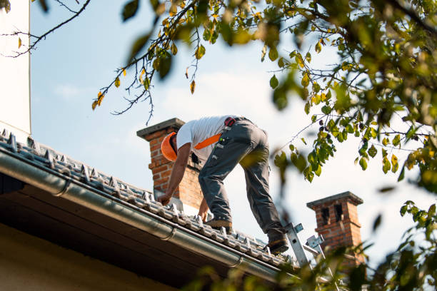 Quick and Trustworthy Emergency Roof Repair Services in Mckenzie, TN