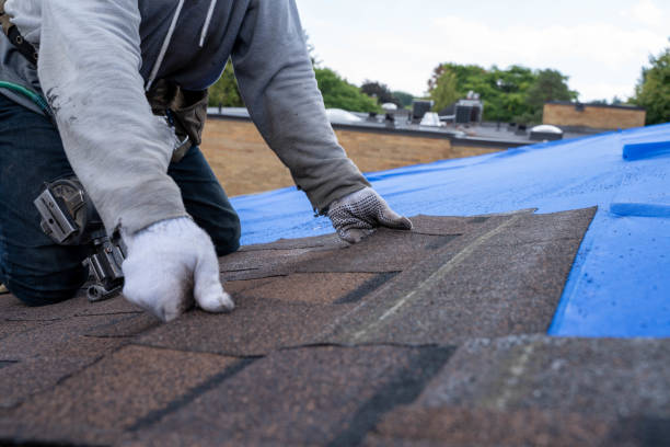 Best Roof Repair Services  in Mckenzie, TN