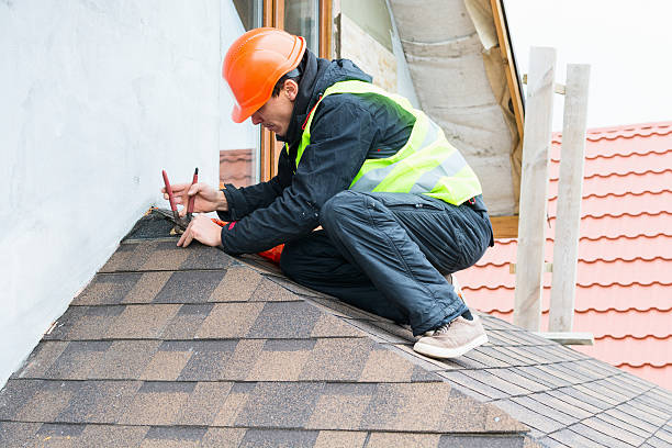 Best Commercial Roof Installation  in Mckenzie, TN