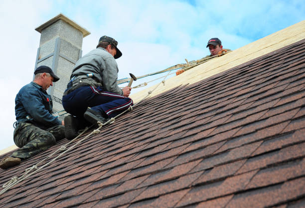 Best Roof Maintenance Services  in Mckenzie, TN