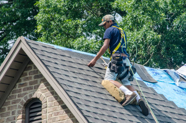 Best Gutter Installation and Roofing  in Mckenzie, TN