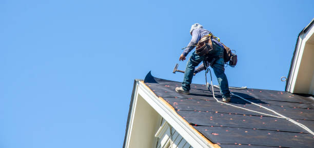 Roof Waterproofing Services in Mckenzie, TN